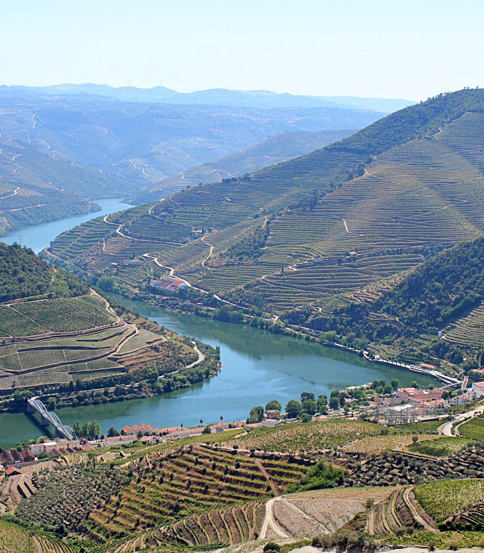 Imagem da campanha Douro LBV – Cruzeiro Porto ⇄ Pinhão durante a semana